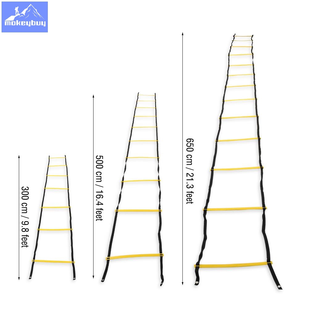 Ladder Workouts For Football Blog Dandk