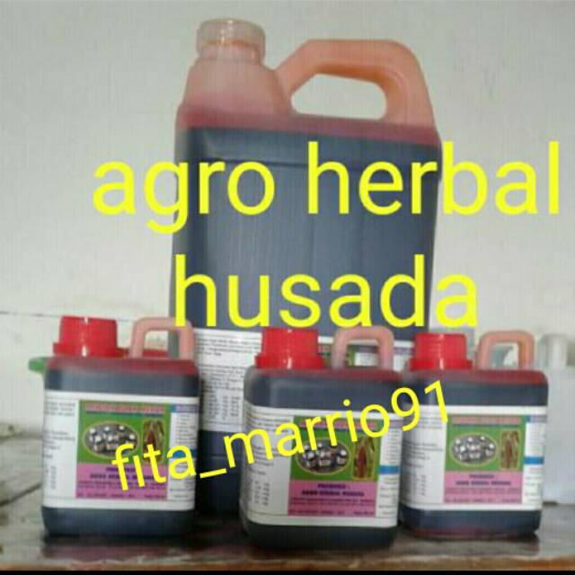 

Sari Buah Merah 5000 ML Asli Wamena Papua