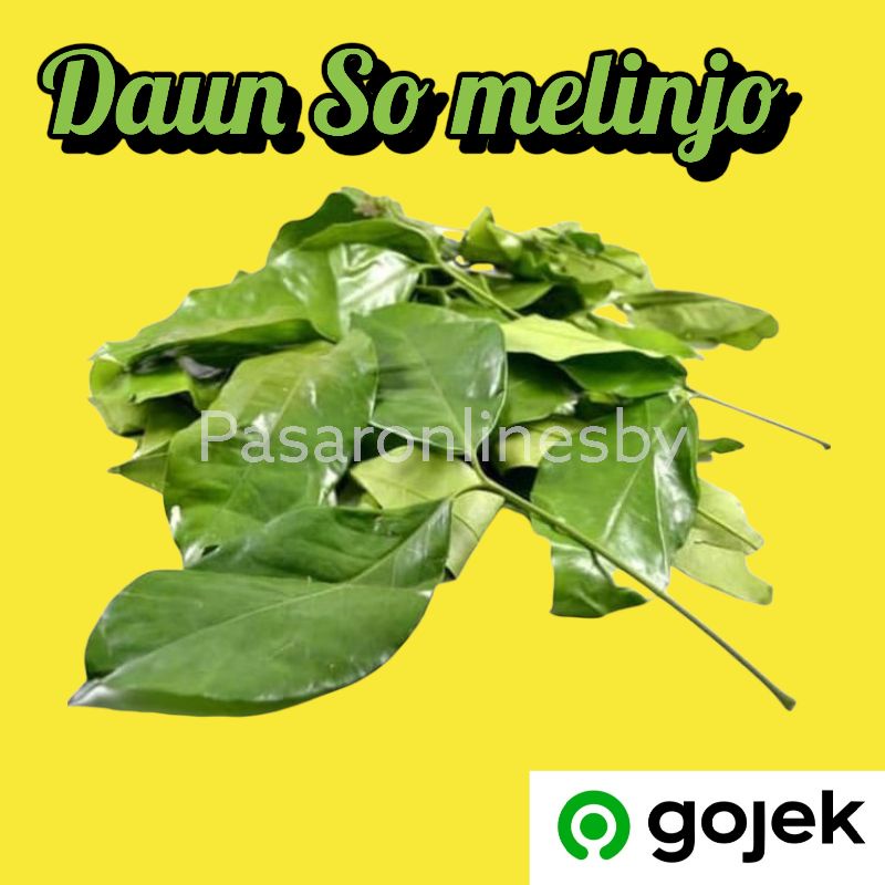 

PASAR GUBENG - Daun Melinjo / Daun mlinjo /Daun So - Per Pack
