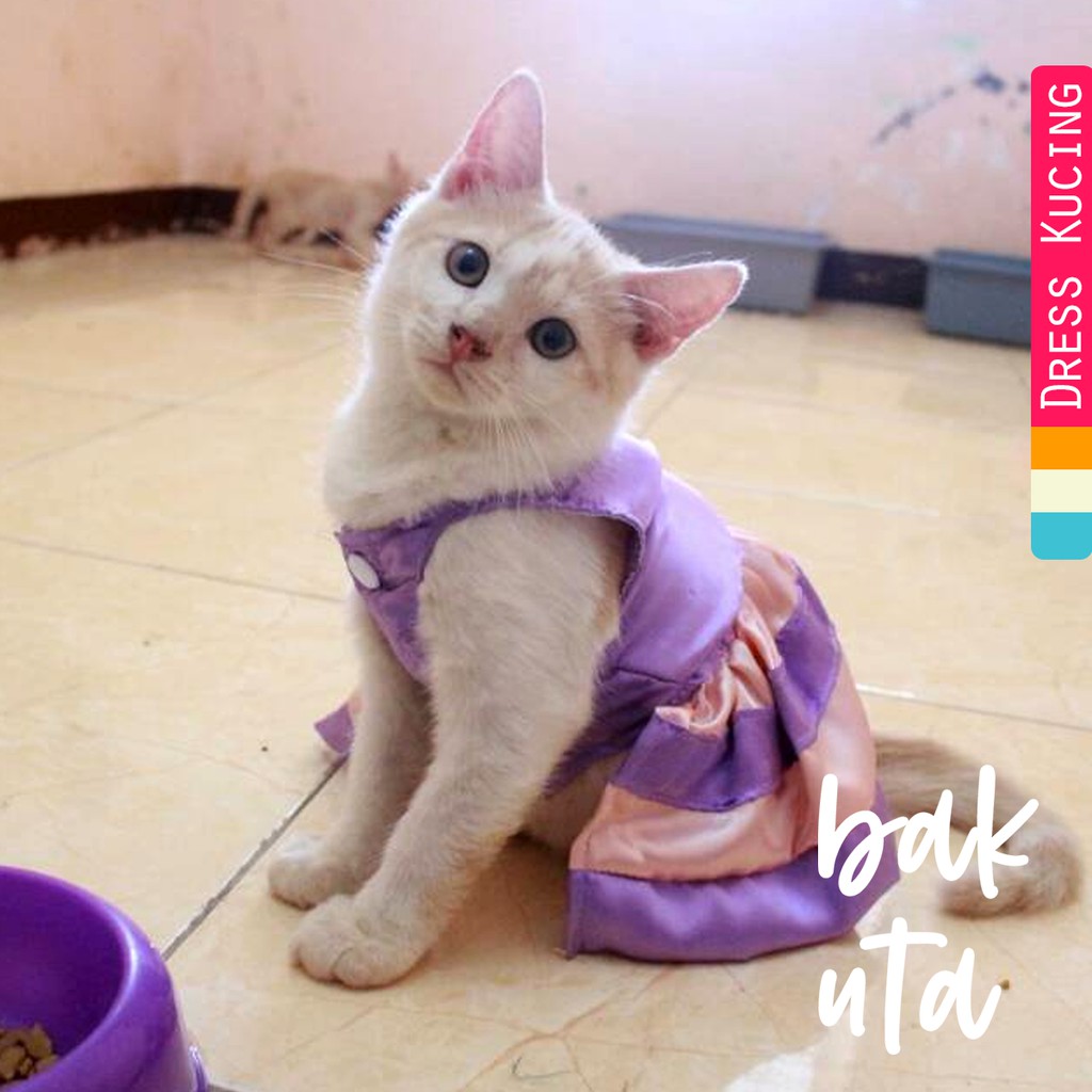 Dress ungu mix krem untuk kucing dan anjing lucu / baju kucing murah terlaris size S-XL