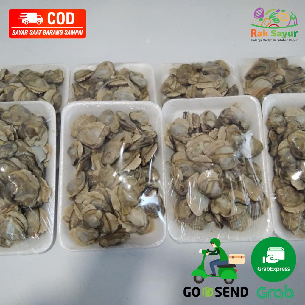 

Kerang Lokan Sungai Segar 500gr Siap Packing Fresh Seafood Fozen Rendang Lokan Rak Sayur Padang