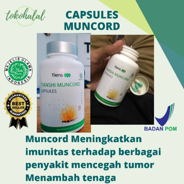 CAPSULES MUNCORD TIENS ORIGINAL ALAMI || TERSEDIA PAKET ECERAN ||
