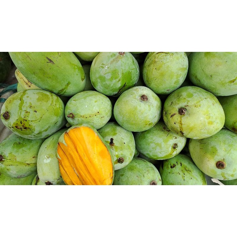 

Mangga Indramayu Perkilo