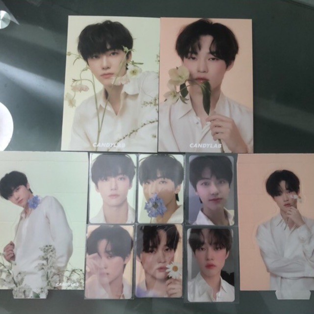 candylab v4 JISUNG pc set nct dream full bloom