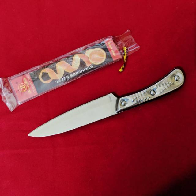 Pisau dapur stainless steel