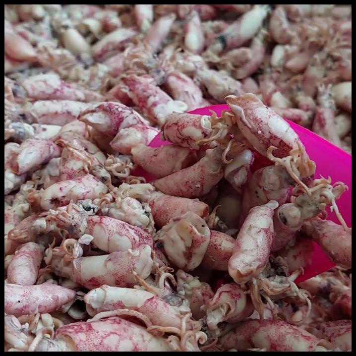 

Cumi Asin Cendol 1Kg/Cumi Baby Asin 1Kg