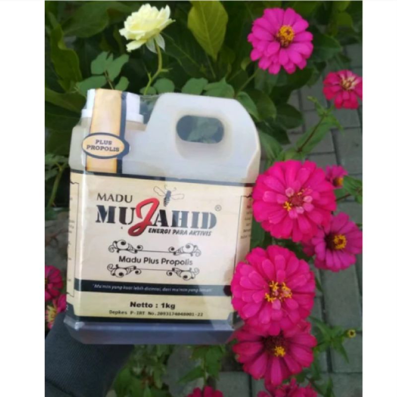 

Madu Mujahid Propolis