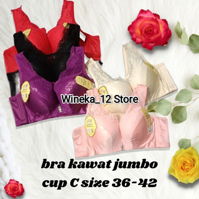 BH KAWAT JUMBO PENUTUP LEMAK BUSA TIPIS CUP BESAR KAIT 4 art5539