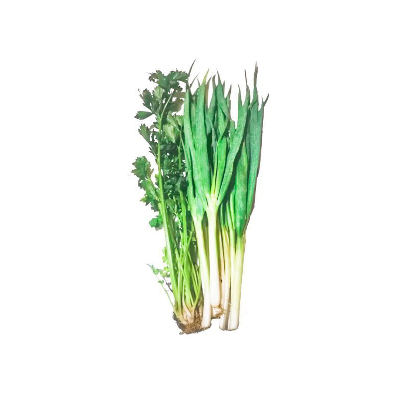 

DAUN BAWANG/DAUN SELEDRI/MIX DAUN BAWANG SELEDRI