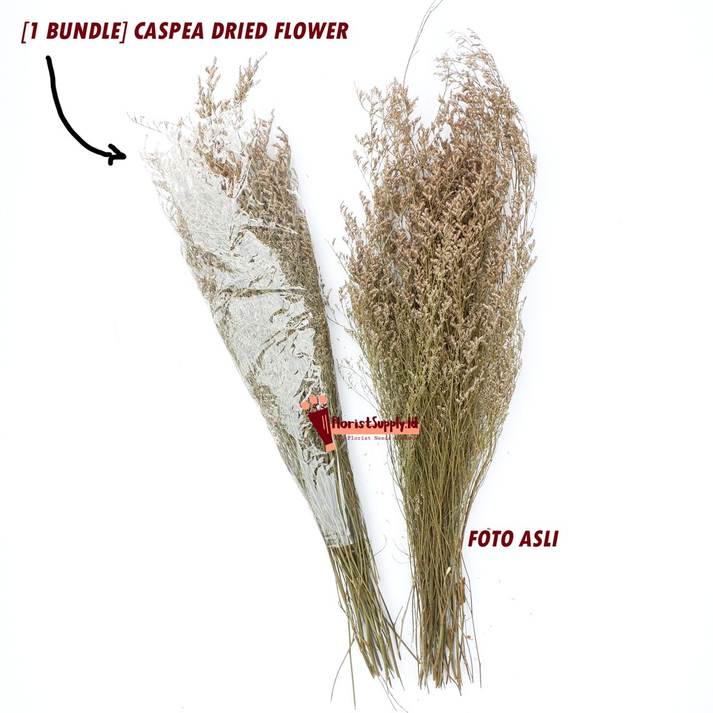 [1 Bundle] CASPEA Dried Flower Premium 50gr