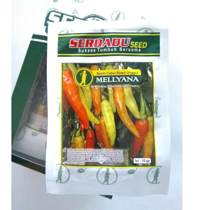 [PRODUK G6LRU] Benih cabe rawit putih unggul MELLYANA, cabai rawit tahan penyakit J8T