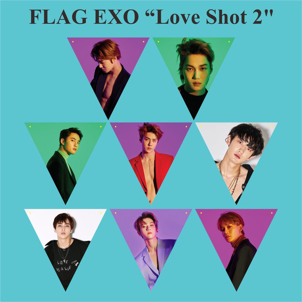 BUNTING FLAG EXO LOVE SHO1 + Tali Souvenir Kpop Murah