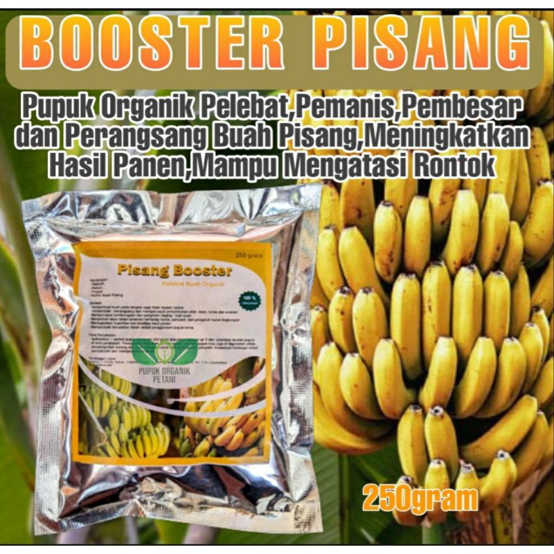 Pupuk Organik Penyubur Pisang,Pupuk Organik Perangsang Pisang Agar Cepat Berbuah Lebat,Booster Organik Buah Pisang