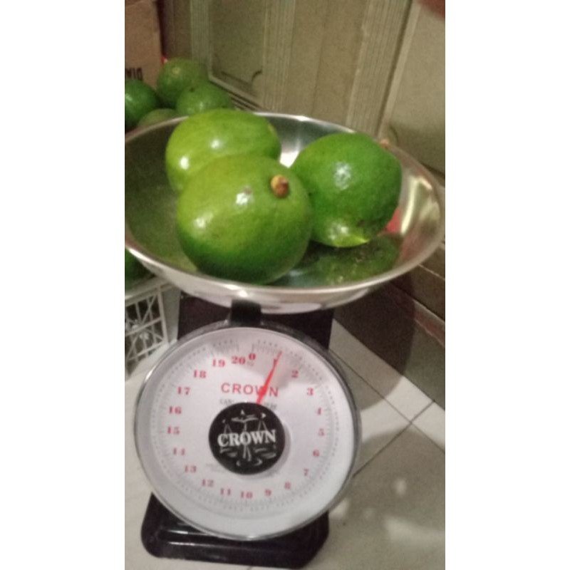 

alpuket mentega asli