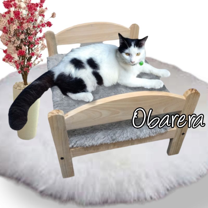 Ranjang Kucing, Rumah Kucing Kayu