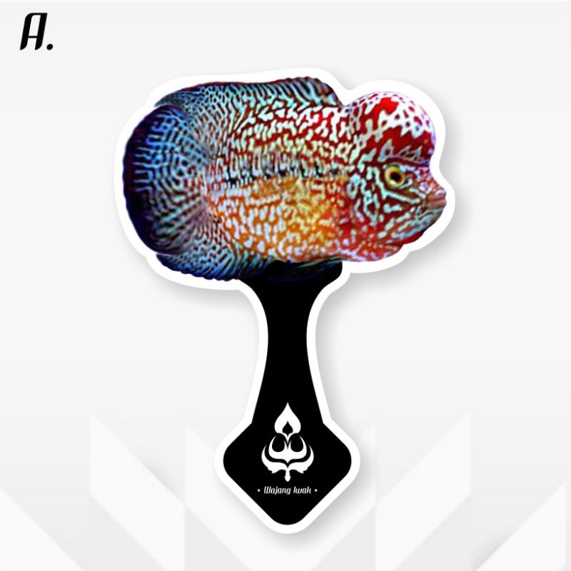 TERMURAH... CUSTOM WAYANG IKAN LOUHAN & PARROT AKRILIK ANTI AIR