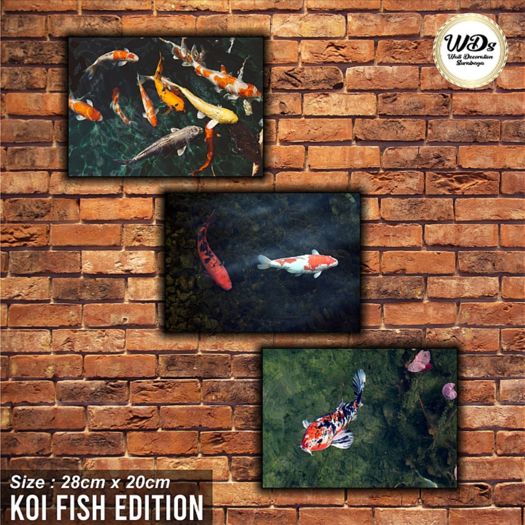 Dekorasi Hiasan Dinding Koi / Ikan Koi - WDS
