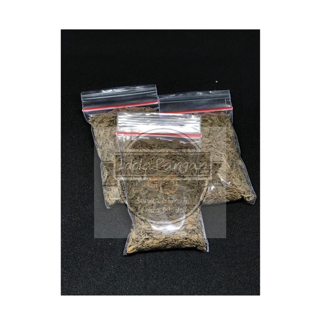 

jinten , jintan alami 50gr