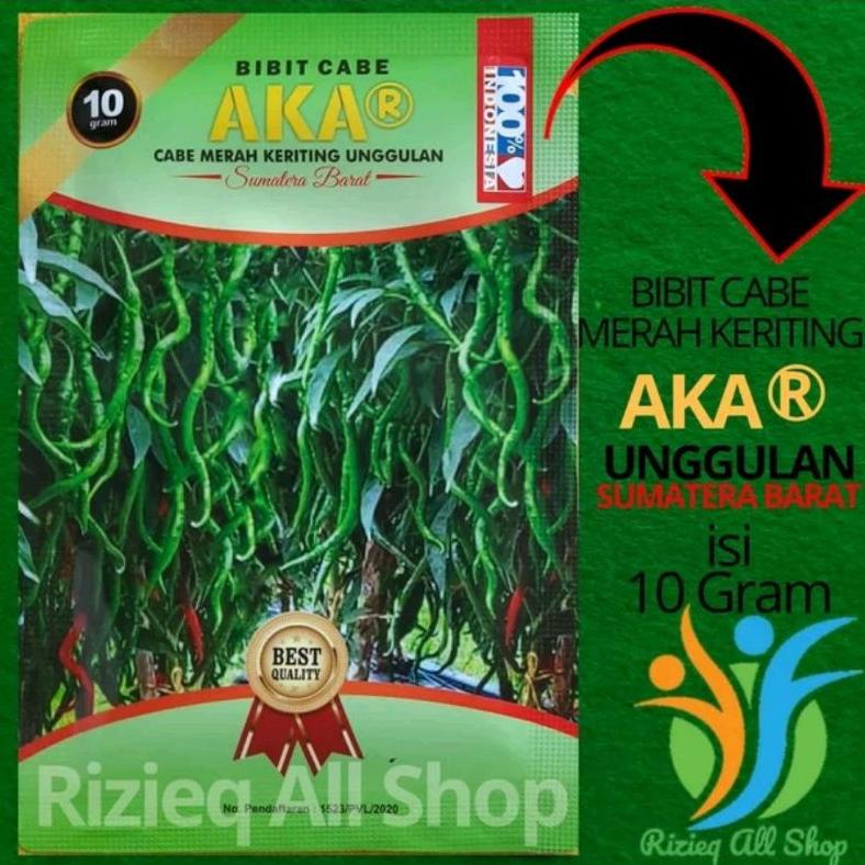 BENIH BIBIT CABE KERITING AKAR ISI 10 GRAM SEKITAR 2200 BUTIR BENIH CABE KERITING UNGGULAN AKAR TERL