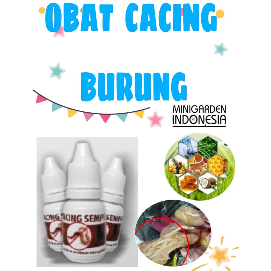 OBAT CACING BURUNG obat burung nyilet cacingan lesu vitamin nafsu makan