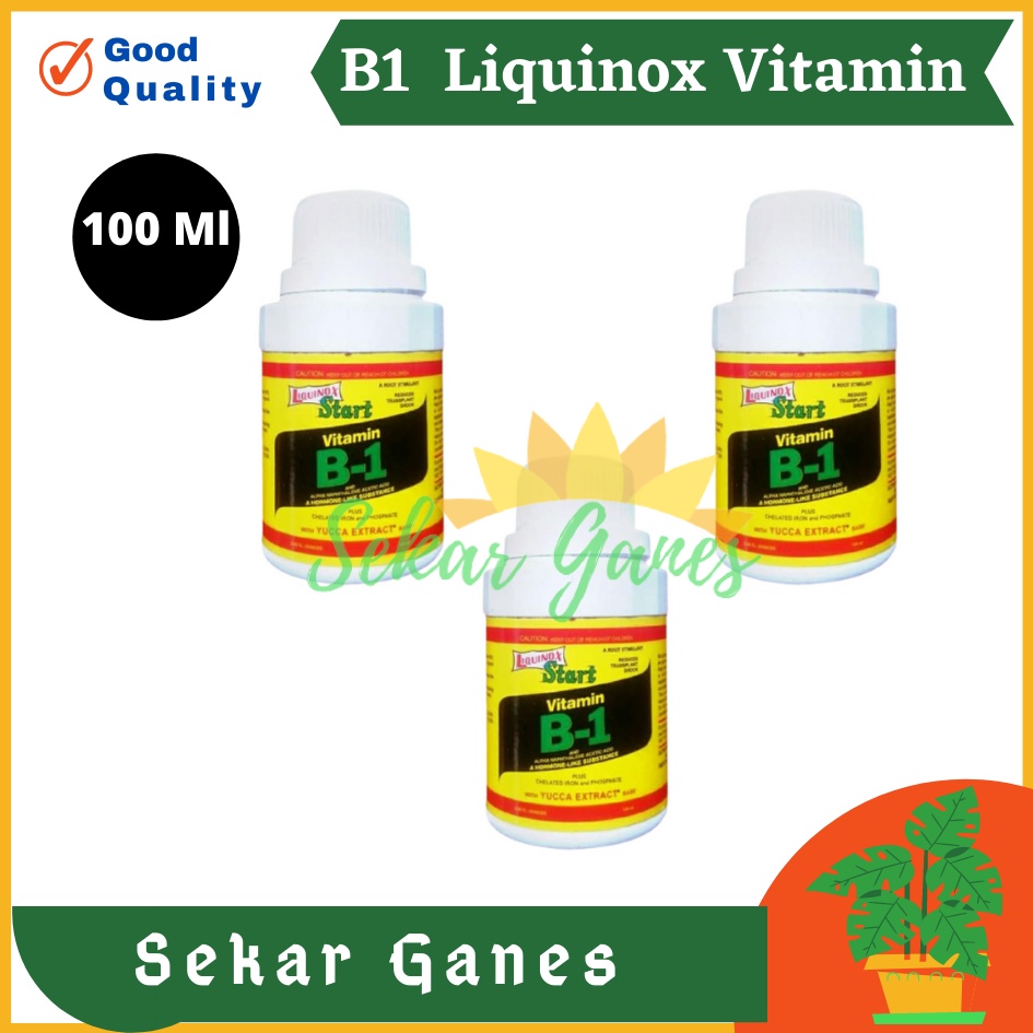 Ori B1 Liquinox 100 Ml Penumbuh Akar Obat Anti Stres Vitamin Nutrisi B1 Tanaman Bibit Stek Cangkok