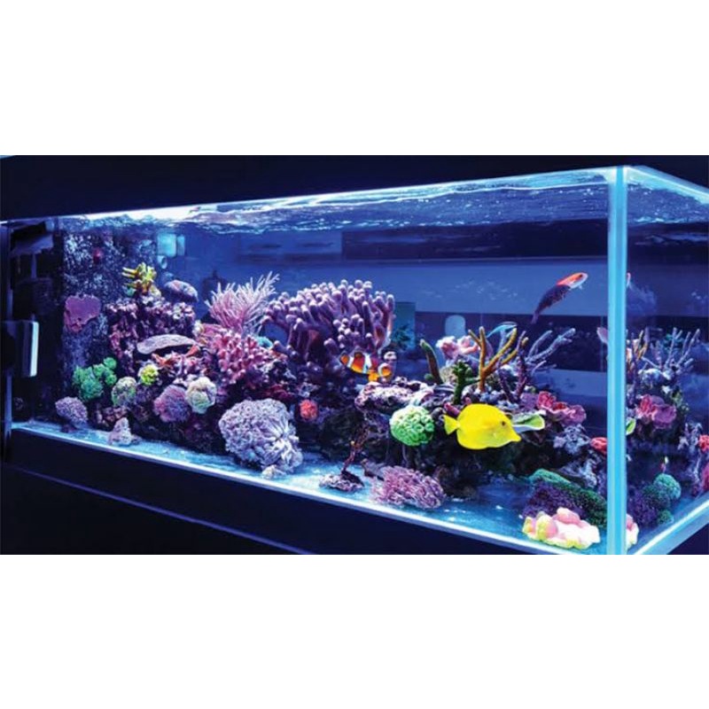 AQUARIUM IKAN HIAS FULL SET