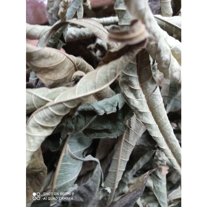 

Daun Sungkai Kering 500gr- Jati Sabrang Herbal Anti Virus