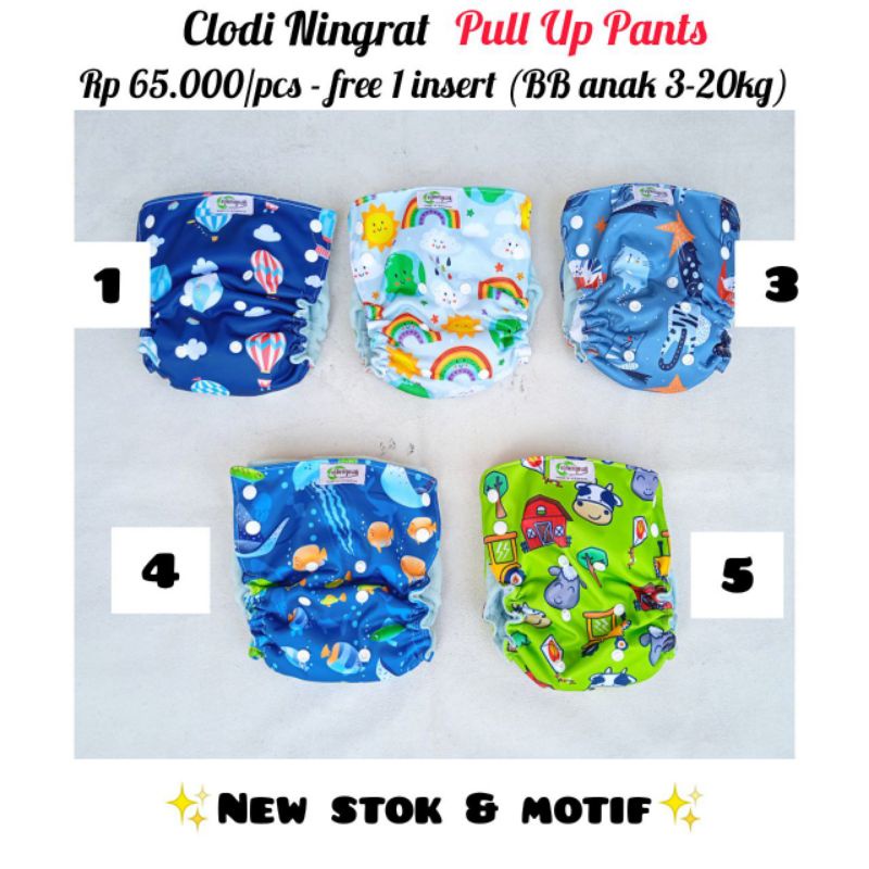 Clodi Ningrat Pull Up pant 3 - 17kg Popok Kain Popok Cuci Ulang Bayi Anak Insert terpisah Diaper Pempers kain