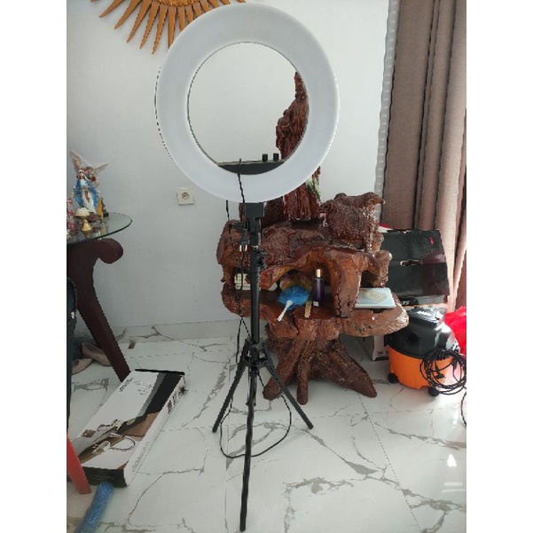 Preloved Ringlight Cathie stuff B.I Color 1.0