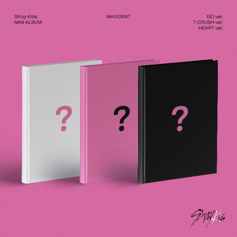 PO ALBUM SKZ STRAY KIDS MAXIDENT
