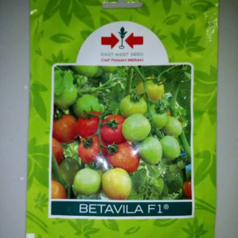 Benih TOMAT BETAVILA F1 10 gram