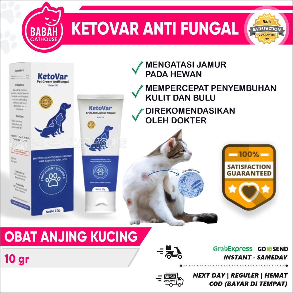 KETOVAR CREAM 10gr Obat Anti Gatal Salep Jamur untuk Kucing Anjing Anak Kitten Puppy Alergi krim Jam