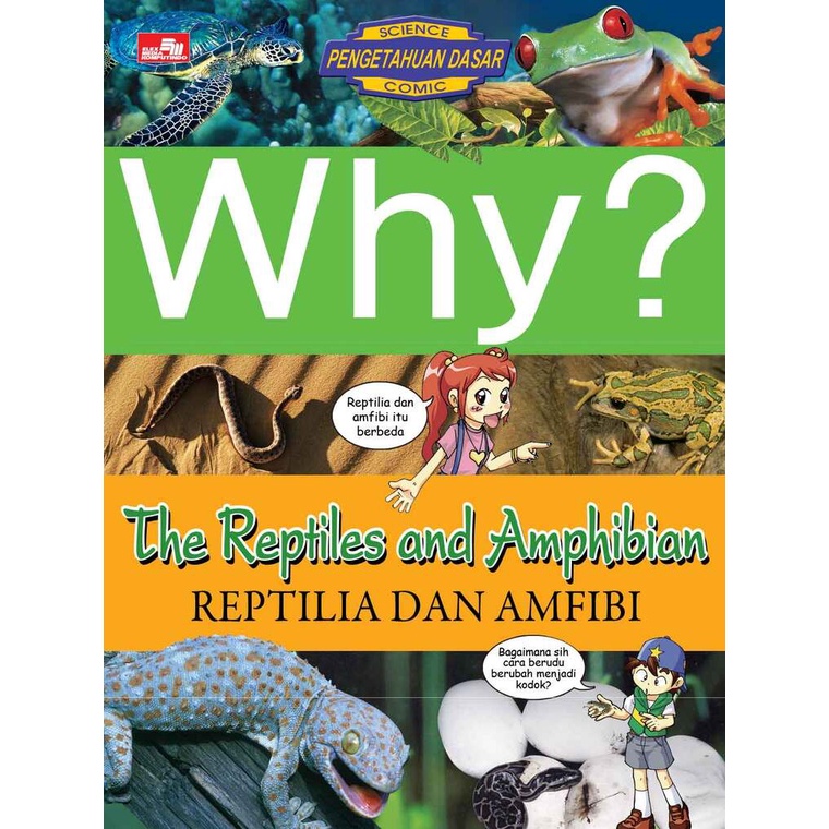 Why ? The Reptiles And Amphibian