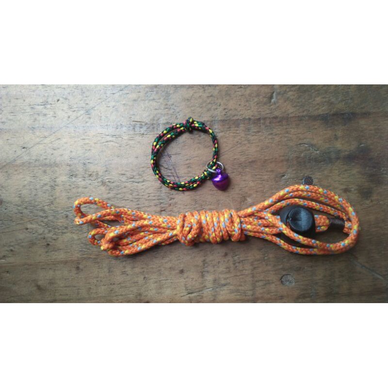 Harness+kalung bajing tupai