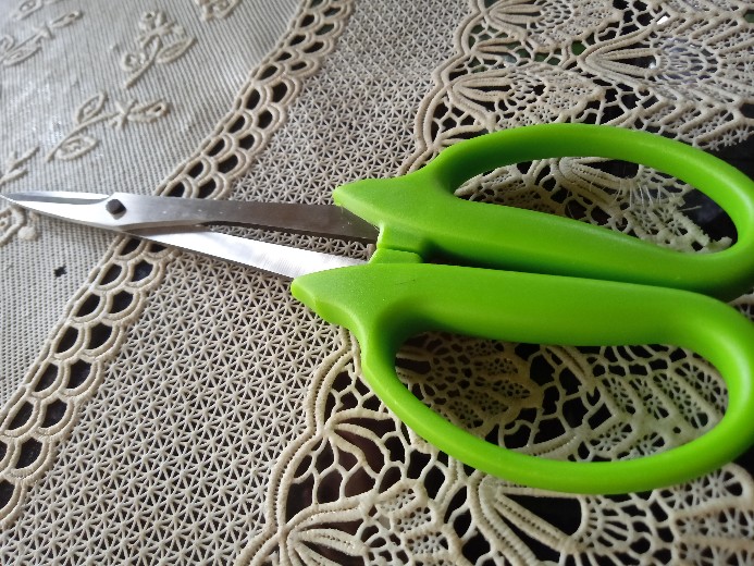 Gunting Pruning Bonsai Mata Pendek