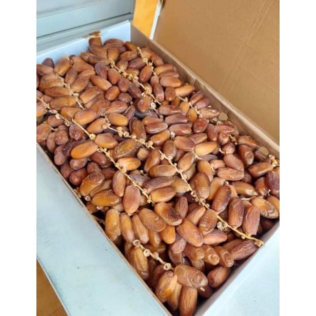 

Kurma tunis tangkai grade A