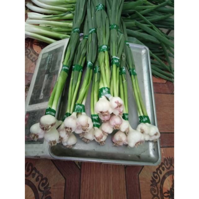 

Bawang putih/bawang son 500 gr