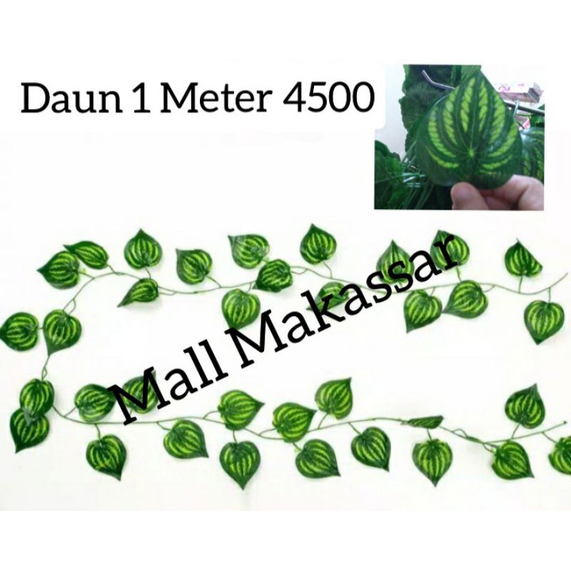 Daun Semangka 4500 Semeter Shopee Indonesia