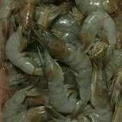 

udang jari segar 500 gram