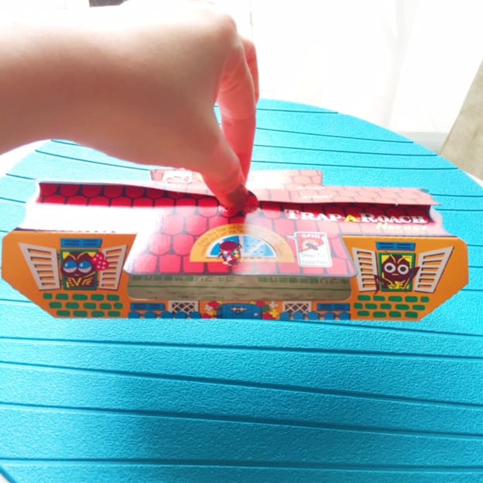 Rumah kecoa Hoy Hoy (perangkap kecoa)