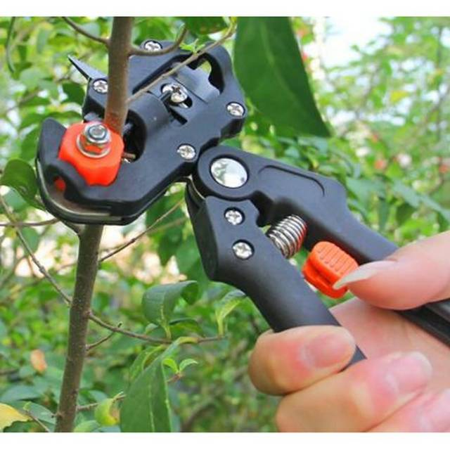 Gunting pemotong  Batang Tanaman Grafting Vaccination Pruning Tool - 210