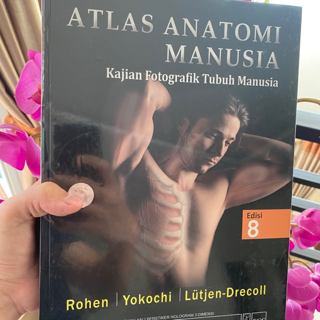 Yokochi Atlas Anatomi Manusia ORIGINAL 100% EGC Edisi 8 Original