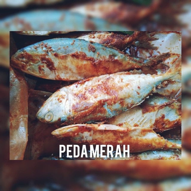 

Ikan Asin Peda Merah Grosir Kiloan