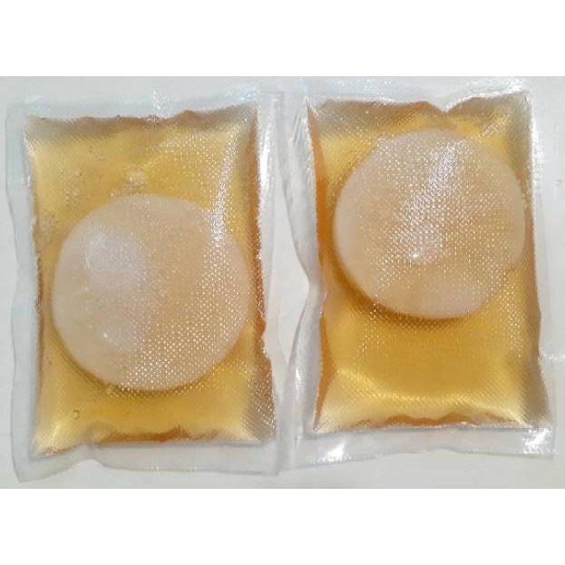 

[KODE WX6038] Bibit Scoby Jamur Kombucha