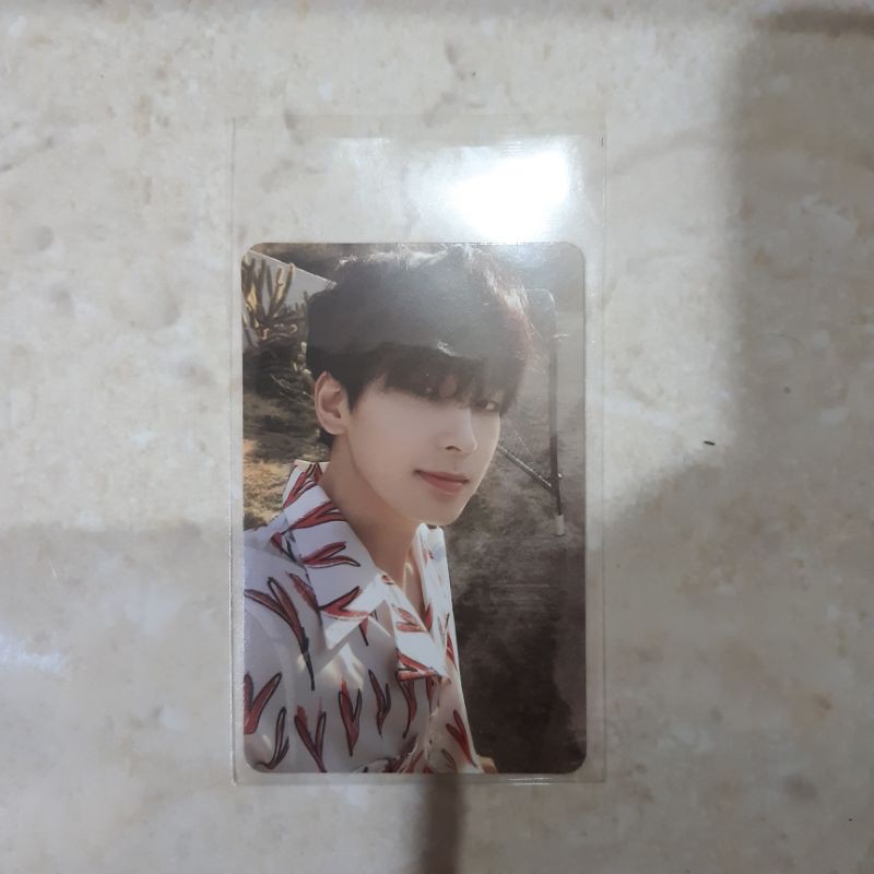 PC Wonwoo henggarae set ver.