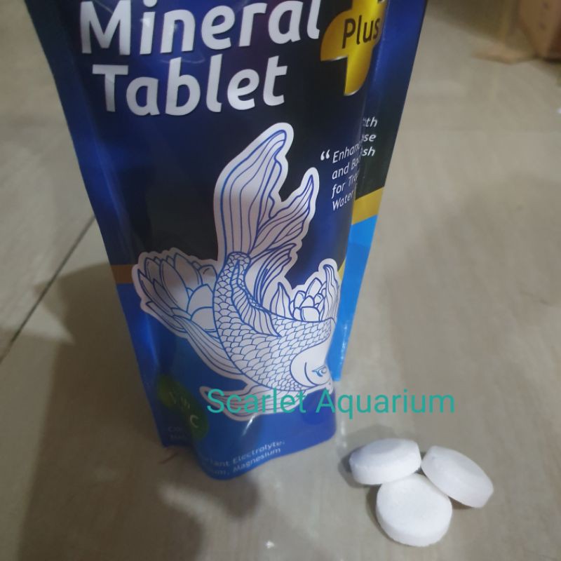 SG Fish Mineral Tablet Vitamin C Garam Ikan 1keping/1tablet