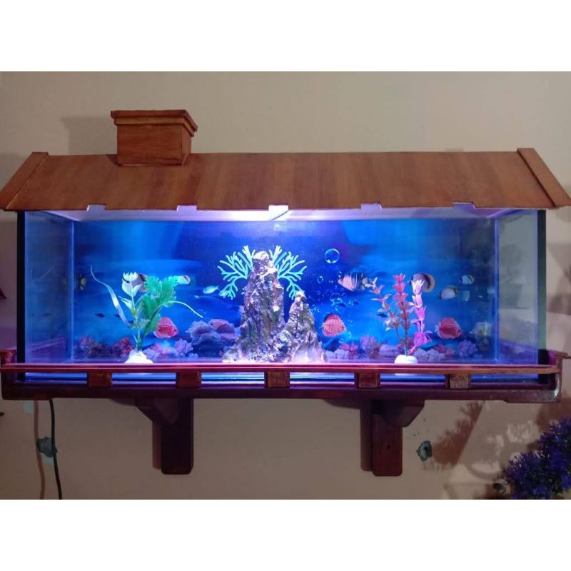 Aquarium Minimalis Dinding