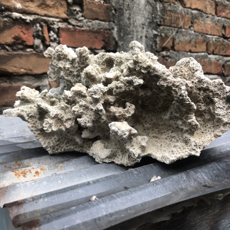 BATU KARANG RUMAH IKAN HIAS UKURAN JUMBO AQUASCAPE AQUARIUM/ BATU KARANG/ BATUKARANG/ BATU KARANG LA