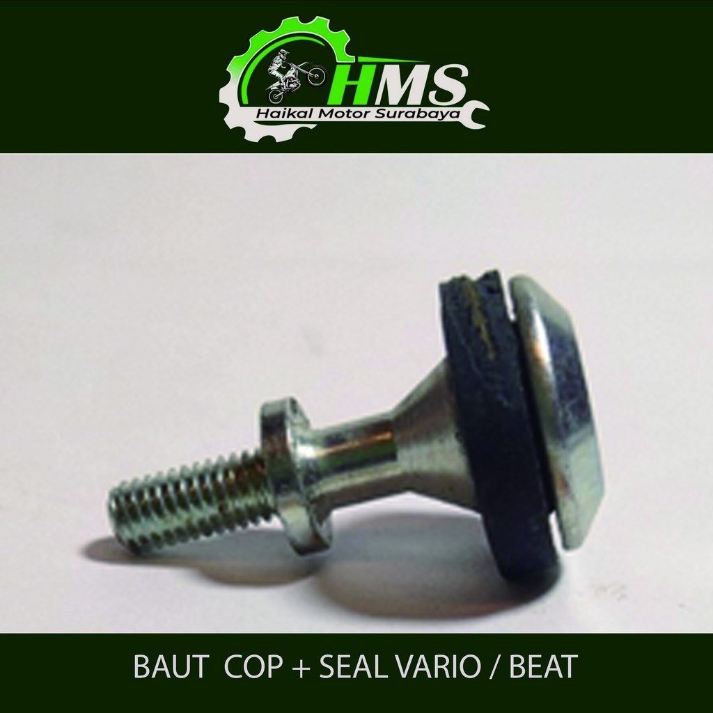 BAUT COP + SEAL VARIO / BEAT - BAUD SILINDER HEAD KOP + KARET VARIO KARBU