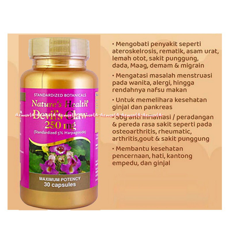 Natures Health Devils Claw 250mg 30Capsuls Obat Mengatasi Mens sakit Maag sakit punggung Devil's